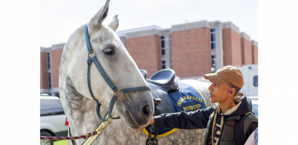 Man and a white horse looking at one another. The man is wearing a brown hat and holding the reins